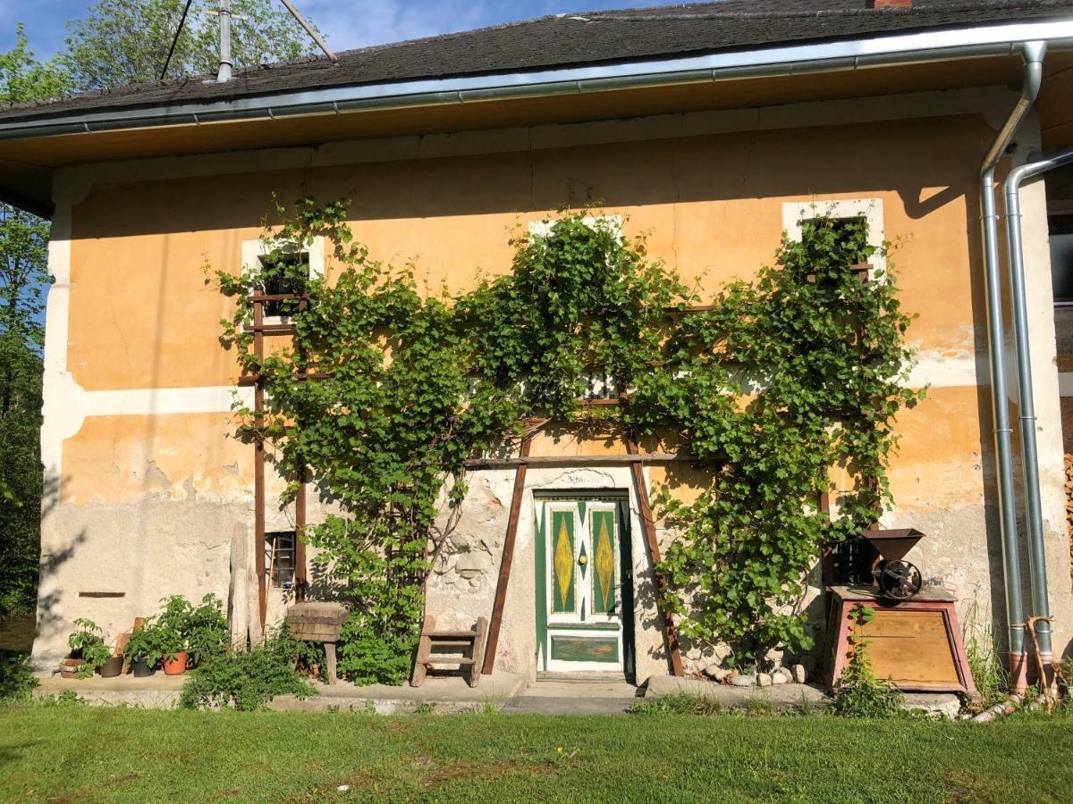 Ferienwohnung Klampfermuehle فورتشدورف المظهر الخارجي الصورة